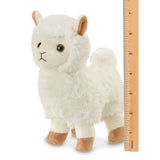 Lil' Alma the Lama
