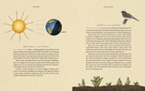 The Wheel of the Year, Fiona Cook