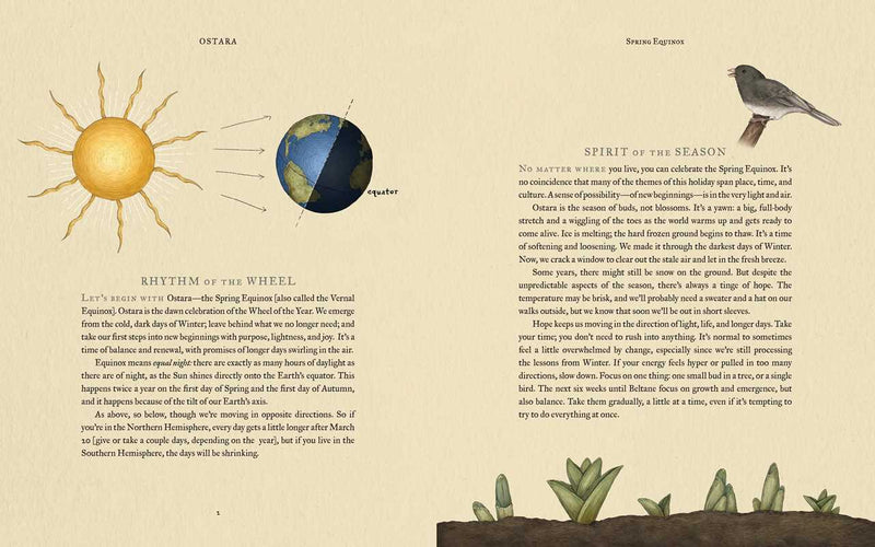 The Wheel of the Year, Fiona Cook