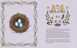 The Wheel of the Year, Fiona Cook