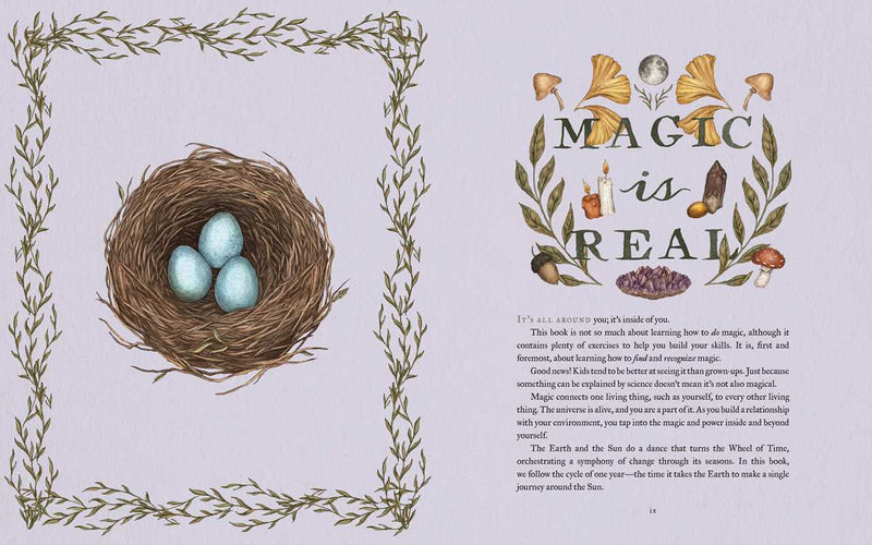 The Wheel of the Year, Fiona Cook