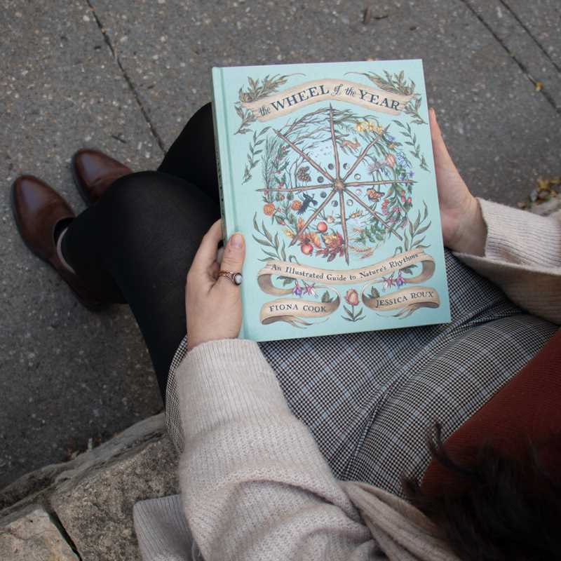 The Wheel of the Year, Fiona Cook