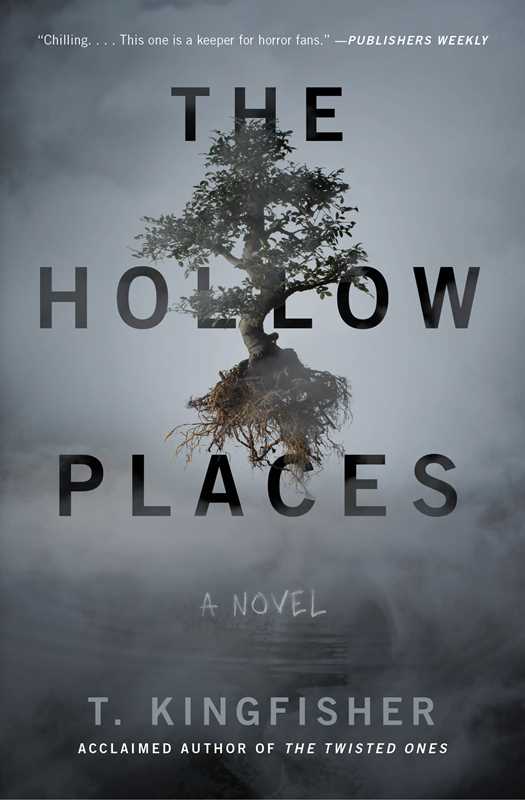 The Hollow Places, T. Kingfisher