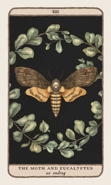 Woodland Wardens, Jessica  Roux