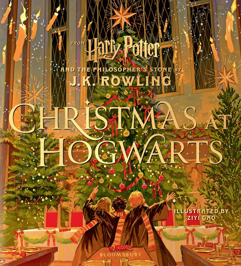 Christmas at Hogwarts, Ziyi Gao