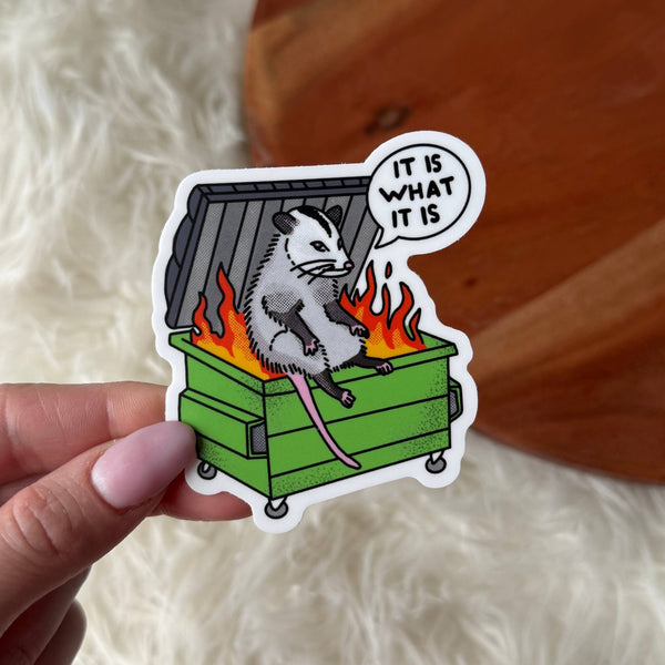 Possum Dumpster Fire Sticker