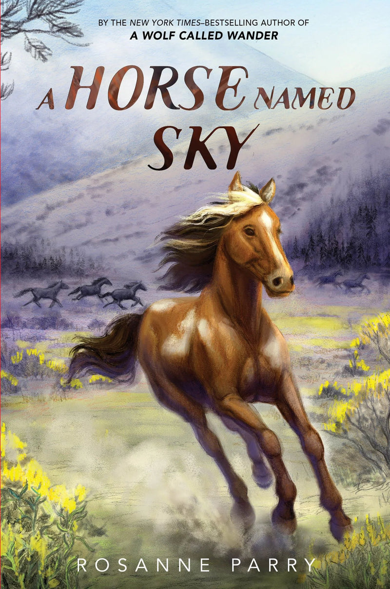 A Horse Named Sky, Rosanne Parry