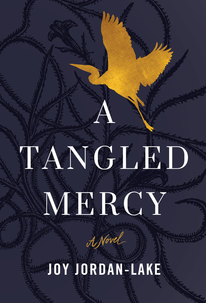 A Tangled Mercy, Joy Jordan-Lake