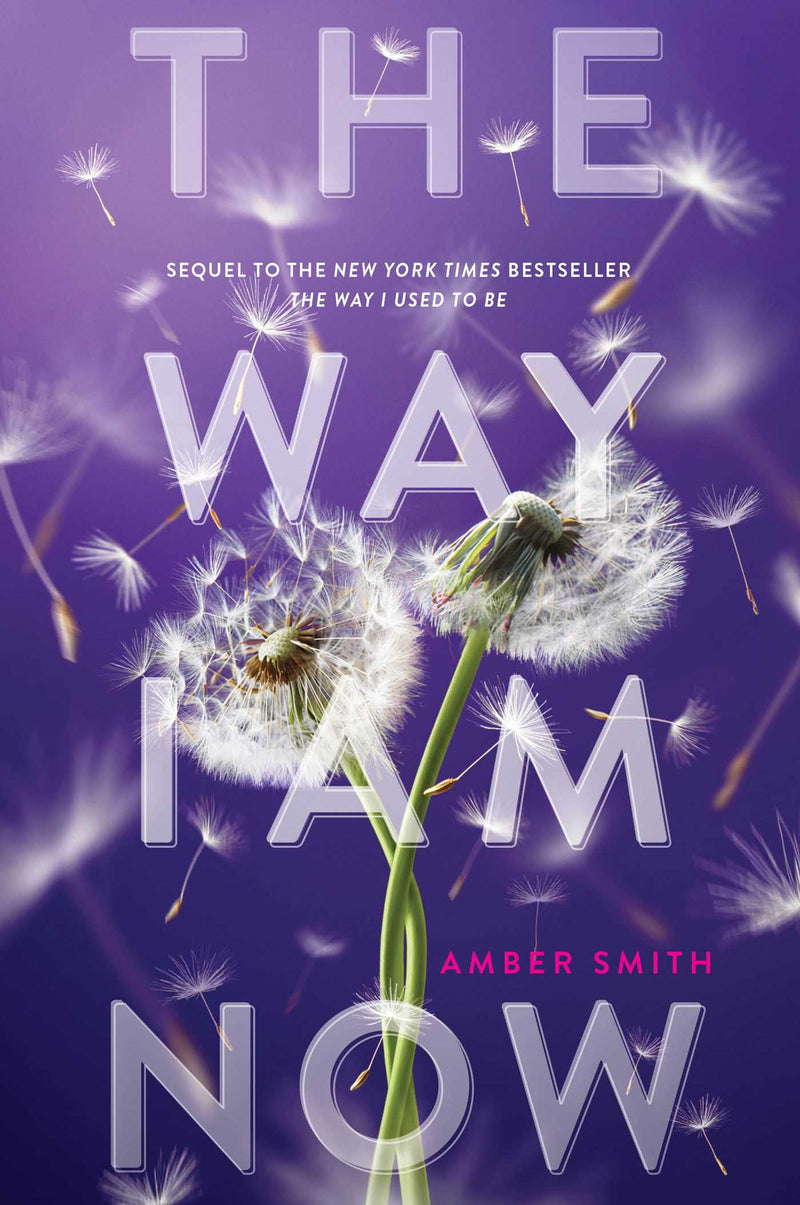The Way I Used to Be (Book 2): The Way I Am Now, Amber Smith