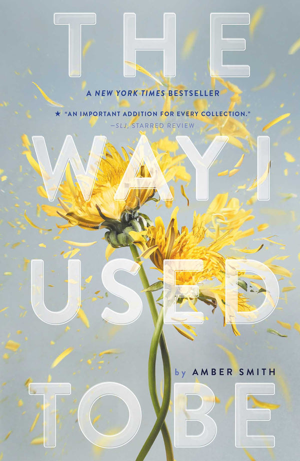 The Way I Used to Be (Book 1), Amber Smith