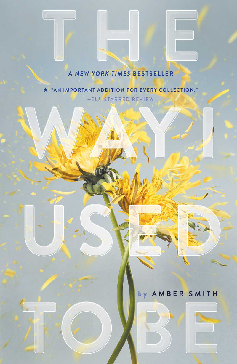 The Way I Used to Be (Book 1), Amber Smith