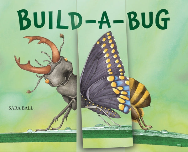 Build-A-Bug, Sara Ball