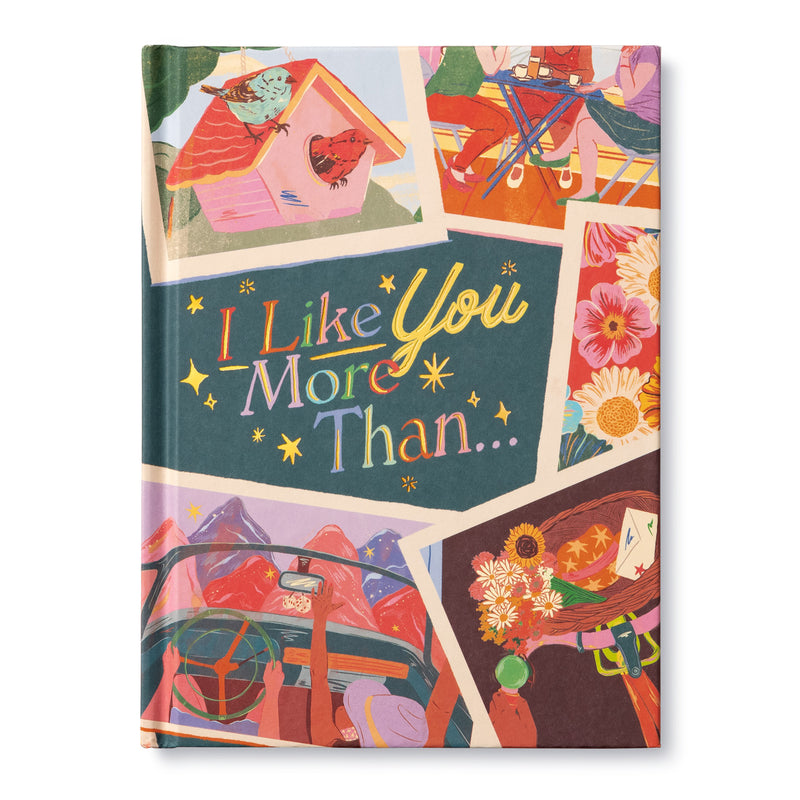 I Like You More Than, written by Miriam Hathaway, Illustrated by Florencia Fuestes